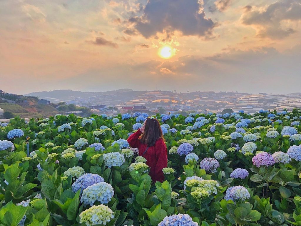 Kinh nghiệm du lịch Đà Lạt